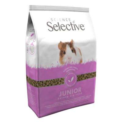 Science SELECTIVE   - Cochon D'inde Junior