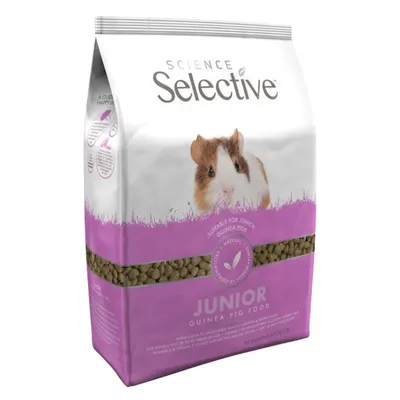 Science SELECTIVE   - Cochon D'inde Junior
