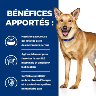 HILL'S - Pâtée Chien - I/d Digestive - Hill's Prescription Diet 12*200g