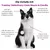 Treatsy – Nahrungsergänzungsmittel Neuro & Kardio für Hunde & Katzen