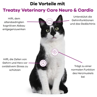 Treatsy – Nahrungsergänzungsmittel Neuro & Kardio für Hunde & Katzen