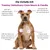 Treatsy – Nahrungsergänzungsmittel Neuro & Kardio für Hunde & Katzen