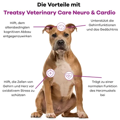 Treatsy – Nahrungsergänzungsmittel Neuro & Kardio für Hunde & Katzen