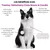 Treatsy - Complément Alimentaire Neuro & Cardio pour chien & chat Treatsy - Complément Alimentaire Neuro & Cardio pour chien & chat