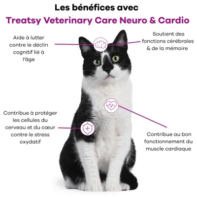 Treatsy - Complément Alimentaire Neuro & Cardio pour chien & chat Treatsy - Complément Alimentaire Neuro & Cardio pour chien & chat