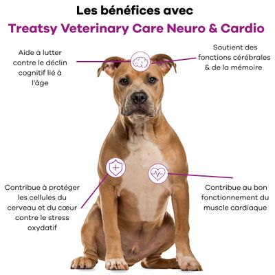Treatsy - Complément Alimentaire Neuro & Cardio pour chien & chat