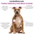 Treatsy - Complément Alimentaire Neuro & Cardio pour chien & chat Treatsy - Complément Alimentaire Neuro & Cardio pour chien & chat