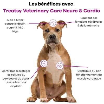 Treatsy - Complément Alimentaire Neuro & Cardio pour chien & chat Treatsy - Complément Alimentaire Neuro & Cardio pour chien & chat