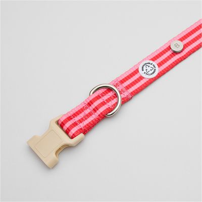Barkalot Collier pour chien - Rose