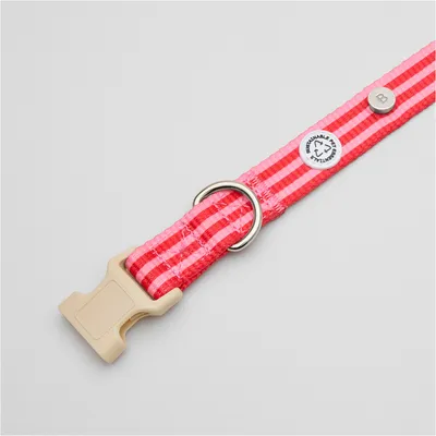 Barkalot Collier pour chien - Rose