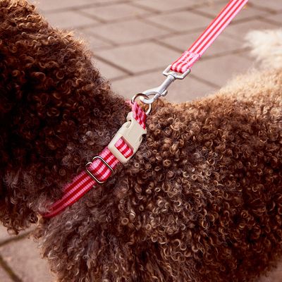 Barkalot Collier pour chien - Rose
