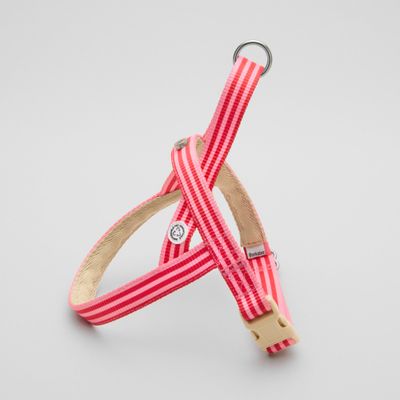 Barkalot Harnais - Rose