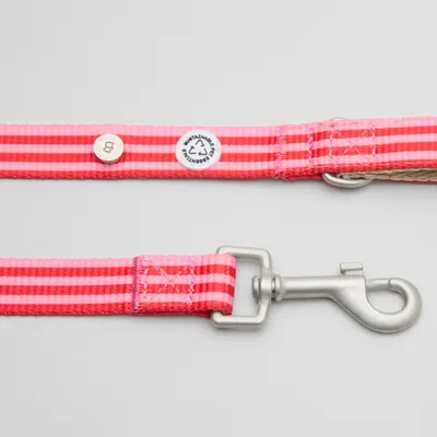 Barkalot Laisse pour chien - Rose