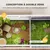 PawHut - Terrarium Tortue avec niche support lampe - bois gris blanc