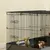 PawHut - Cage cochon d'inde 2 zones plateforme rampe portes-noir et gris PawHut - Cage cochon d'inde 2 zones plateforme rampe portes-noir et gris