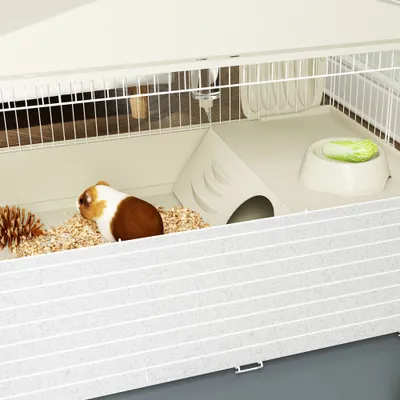 PawHut - Cage Cochon d'Inde Amovible Tapis Imperméable-Gris Beige