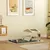 PawHut - Cage Cochon d'Inde Amovible Tapis Imperméable-Gris Beige