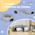 PawHut - Tunnel chat intérieur lit pliable, coussin et balle suspendue-gris