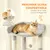 PawHut - Arbre à chat multi-activités H.170cm-gris clair PawHut - Arbre à chat multi-activités H.170cm-gris clair