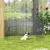 PawHut - Parc enclos modulable chien porte verrouillable H.91cm - noir PawHut - Parc enclos modulable chien porte verrouillable H.91cm - noir