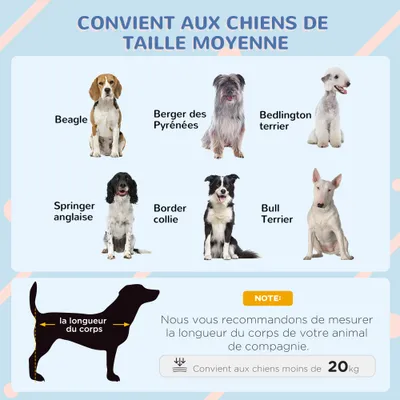 PawHut - Niche pour chien chalet sur pied - Noir, blanc, gris
