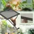 PawHut - Terrarium vivarium en verre couvercle maille métallique porte noir