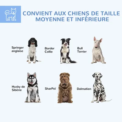 PawHut - Chenil entièrement couvert porte verrouillable-H.120cm-gris