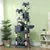 PawHut - Arbre à chat grande taille avec accessoiresH.206 cm-gris PawHut - Arbre à chat grande taille avec accessoiresH.206 cm-gris