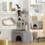 PawHut - Arbre à chat angle griffoirs niche XL plateformes H.114 cm - gris PawHut - Arbre à chat angle griffoirs niche XL plateformes H.114 cm - gris
