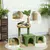 PawHut - Arbre à chat avec niche panier jeux boules griffoirs - beige vert PawHut - Arbre à chat avec niche panier jeux boules griffoirs - beige vert