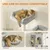 PawHut - Arbre à chat jeux multiples sisal naturel H.177cm-gris clair PawHut - Arbre à chat jeux multiples sisal naturel H.177cm-gris clair