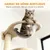 PawHut - Arbre à Chat Mural Parcours en Bois 6 Pièces - Crème Gris