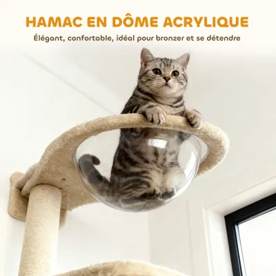 PawHut - Arbre à Chat Mural Parcours en Bois 6 Pièces - Crème Gris