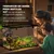 PawHut - Terrarium avec couvercle verrouillable et accessoires - noir PawHut - Terrarium avec couvercle verrouillable et accessoires - noir