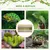 PawHut - Terrarium-2 portes couliss. verre trempé parois maillées - naturel PawHut - Terrarium-2 portes couliss. verre trempé parois maillées - naturel