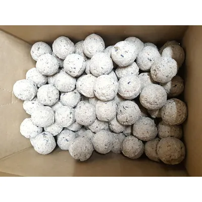 100 Boules de graisse de 90 g toutes saisons pour oiseaux 100 Boules de graisse de 90 g toutes saisons pour oiseaux