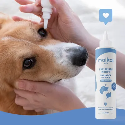 Maikai Lotion Nettoyante Yeux Chien & Chat Aloe Vera et Acide Hyaluronique Maikai Lotion Nettoyante Yeux Chien & Chat Aloe Vera et Acide Hyaluronique
