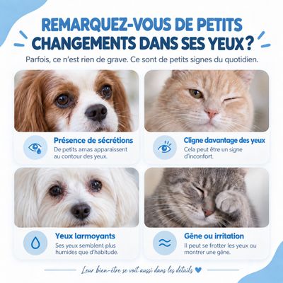 Maikai Lotion Nettoyante Yeux Chien & Chat Aloe Vera et Acide Hyaluronique