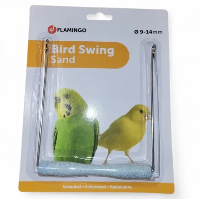 Balançoire perchoir pour oiseaux couleur aléatoire