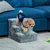 PawHut - Escalier pour chien à 3 marches déhoussable lavable H.35cm-gris