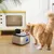 PawHut - Fontaine à eau pour chat 3 étapes USB Inox + Accessoires