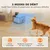 PawHut - Fontaine à eau pour chat 3 étapes USB Inox + Accessoires