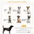 PawHut - Canapé chien déhoussable design scandinave H.31 cm - gris PawHut - Canapé chien déhoussable design scandinave H.31 cm - gris