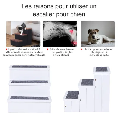 PawHut - Escalier Chien 3 marches - Tapis, Coffre Rangement Interne - blanc