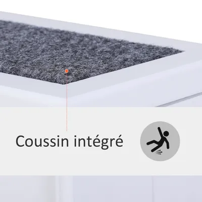 PawHut - Escalier Chien 3 marches - Tapis, Coffre Rangement Interne - blanc