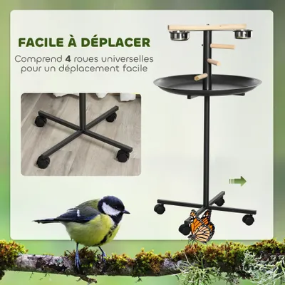 PawHut - Perchoir Perroquets Oiseaux Plat acier-Anthracite