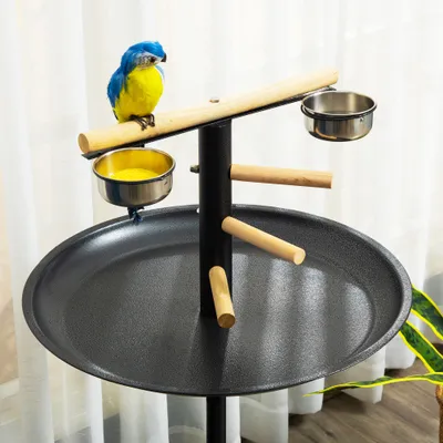 PawHut - Perchoir Perroquets Oiseaux Plat acier-Anthracite