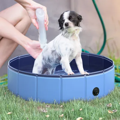 PawHut - Piscine chien pliable antidérapante  H.20 cm - bleu