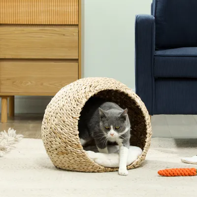 PawHut - Panier Chat Naturel Tressé avec Coussin-Crème