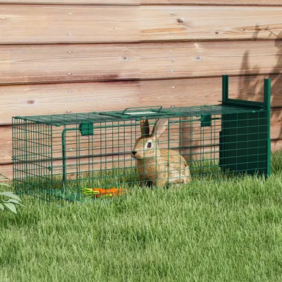 PawHut - Piège Capture Entrée Poignée H.30cm-Vert